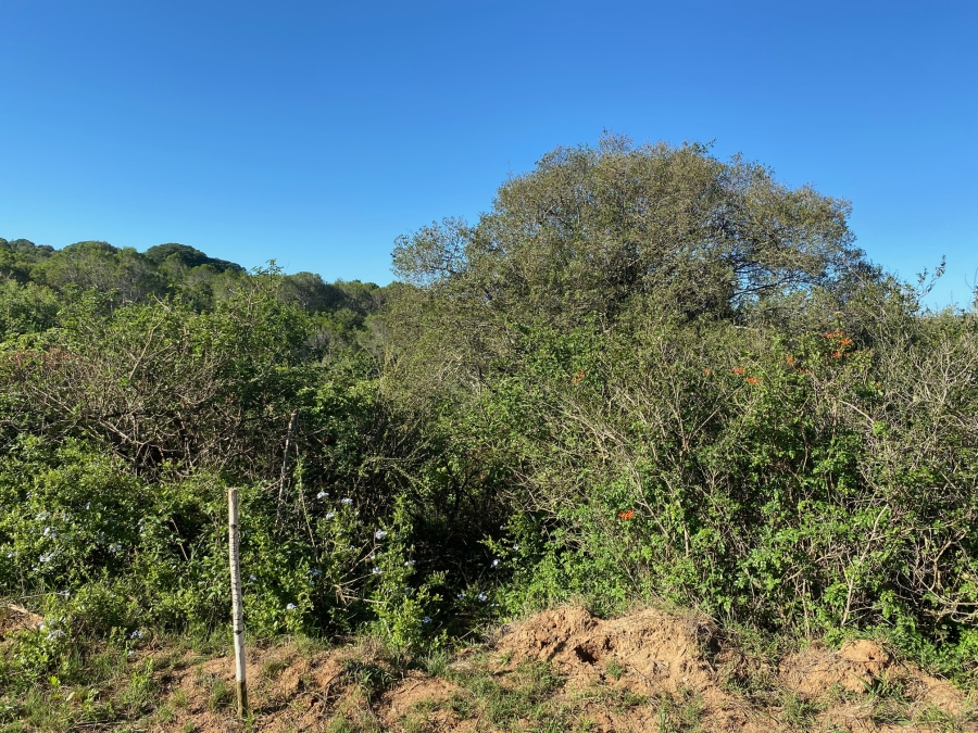 0 Bedroom Property for Sale in Bathurst Eastern Cape